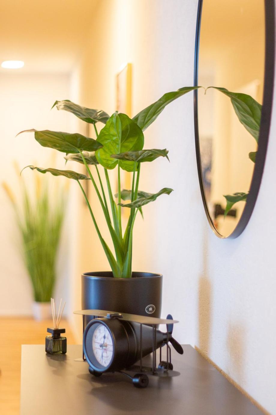 Special Einstein II Apartment Basel, Messe Kleinbasel 10-Star Εξωτερικό φωτογραφία