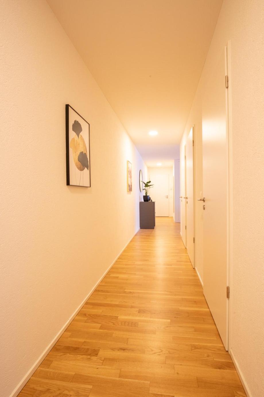 Special Einstein II Apartment Basel, Messe Kleinbasel 10-Star Εξωτερικό φωτογραφία