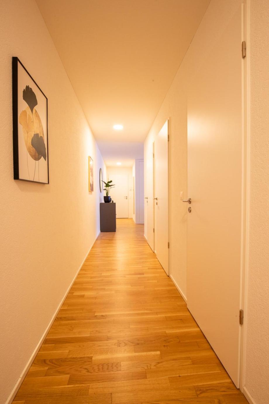 Special Einstein II Apartment Basel, Messe Kleinbasel 10-Star Εξωτερικό φωτογραφία