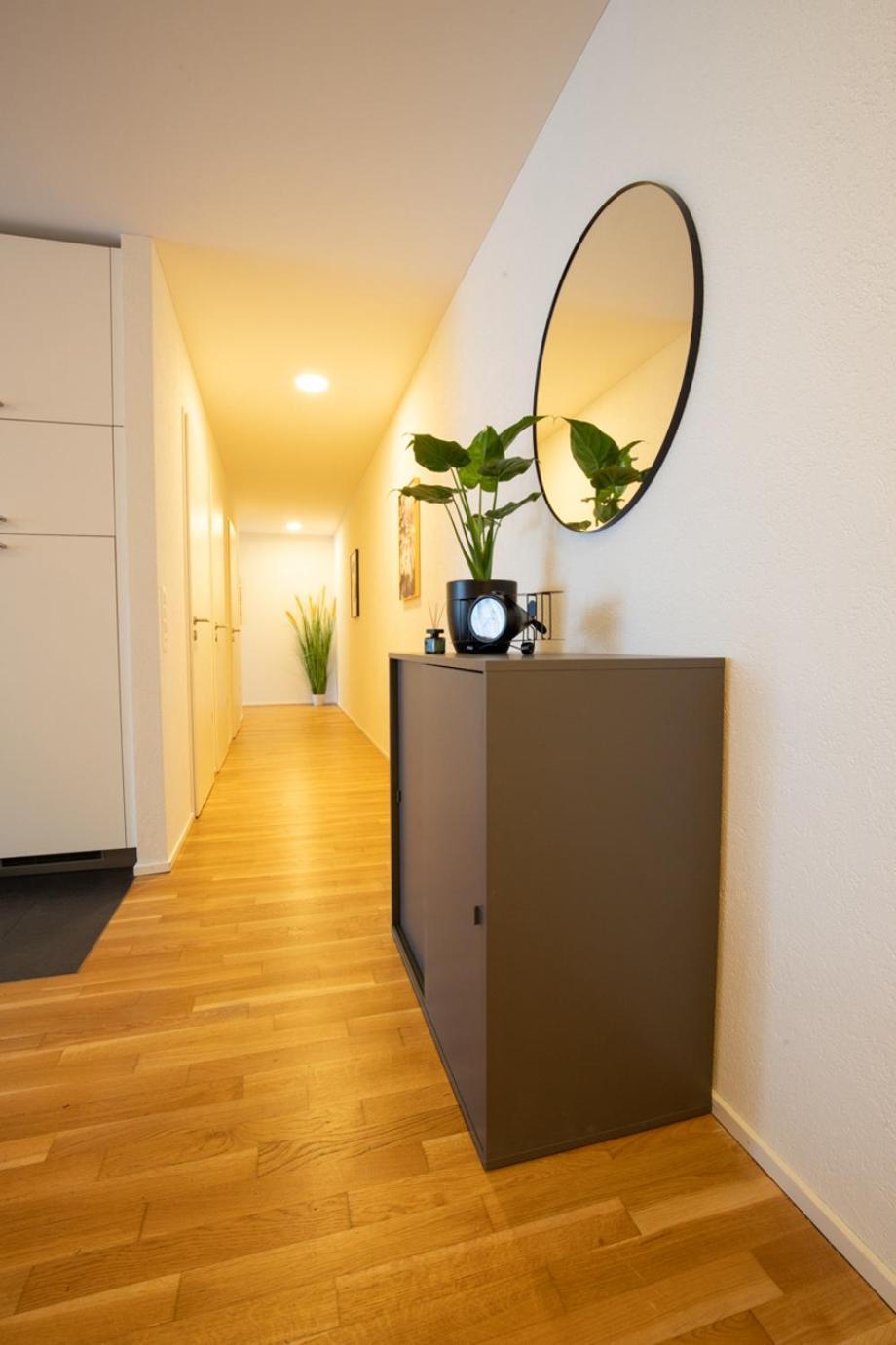 Special Einstein II Apartment Basel, Messe Kleinbasel 10-Star Εξωτερικό φωτογραφία