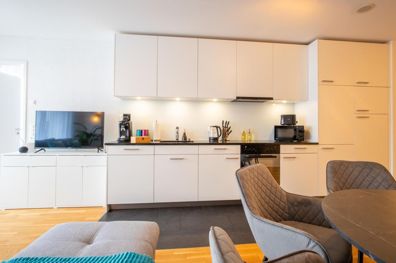 Special Einstein II Apartment Basel, Messe Kleinbasel 10-Star Εξωτερικό φωτογραφία